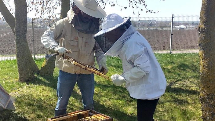 Zwei Personen im Imkeranzug am Bienenstock